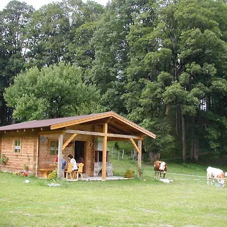 Lochgrubgut