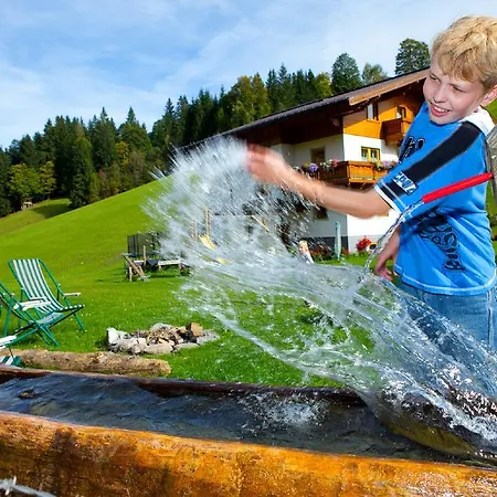 Lochgrubgut *