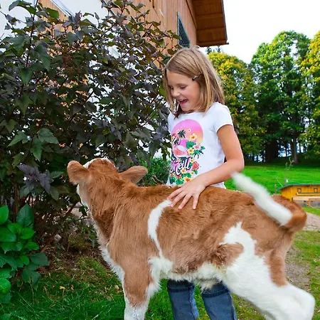 Lochgrubgut Appartement Altenmarkt im Pongau